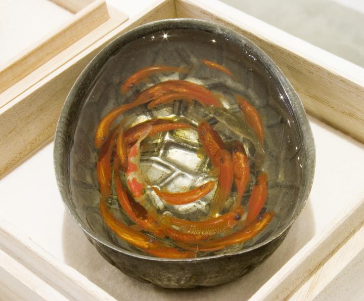 Riusuke Fukahori - goldfish bowl