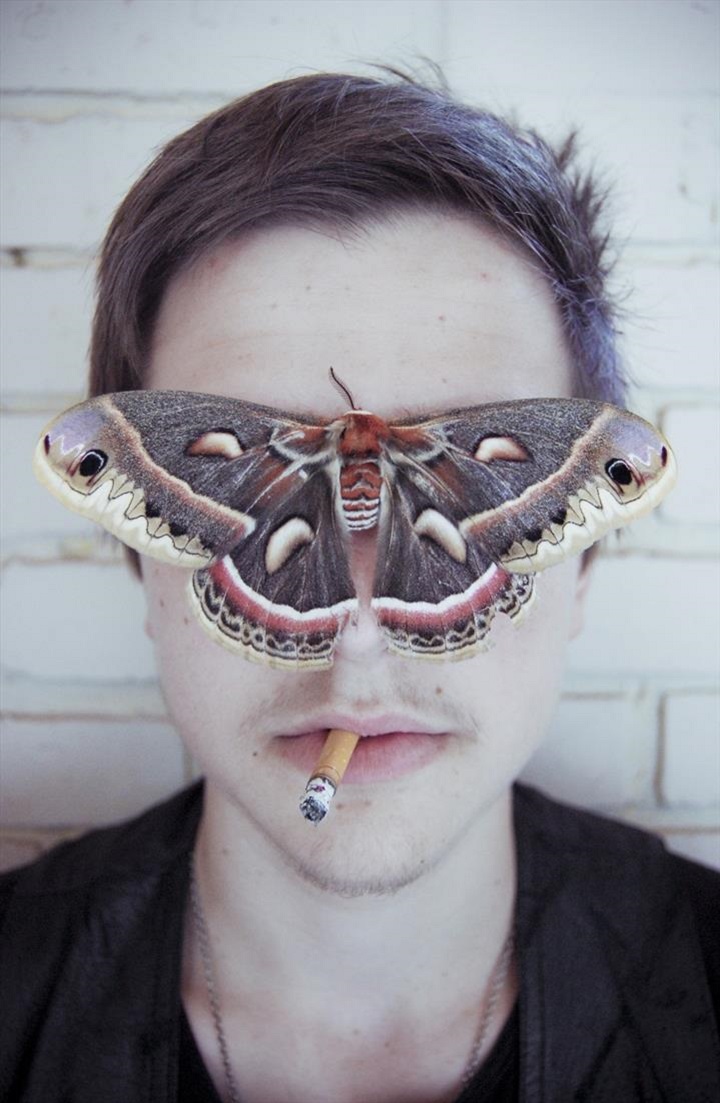 Robert Moses Joyce - butterfly face