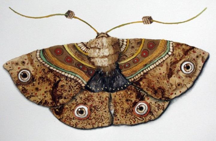 Scott Marr - earth moth