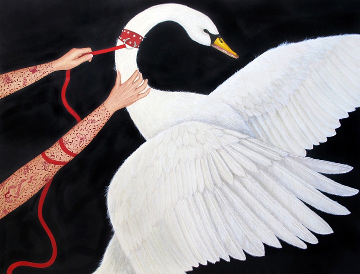 Susan Jamision - a caught swan