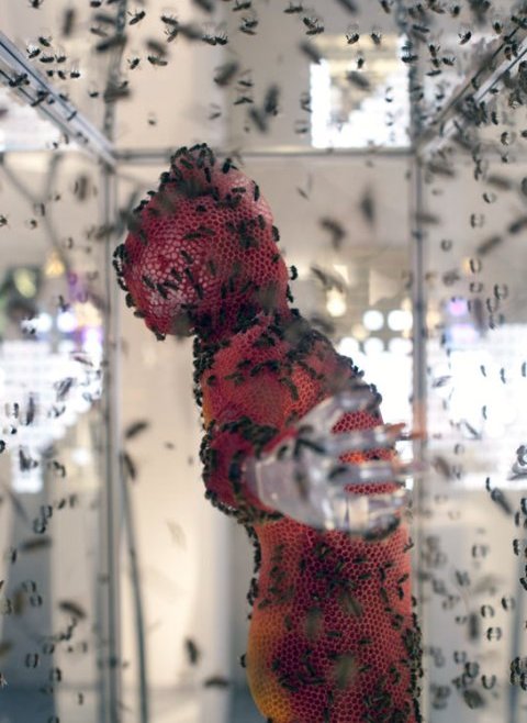 Tomáš Libertíny: The Living Bee Sculpture