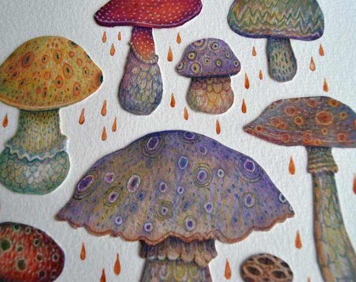 Vladimir Stankovic - mushrooms