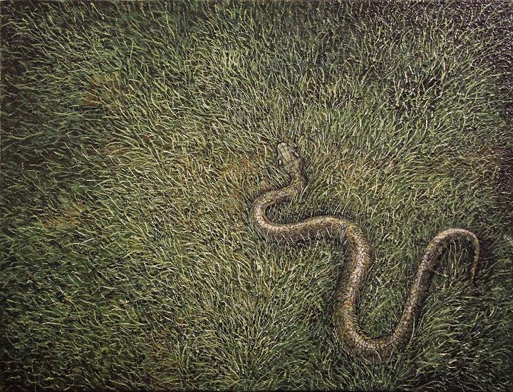 Vojislav Radovanovic - snake