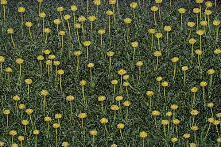 Vojislav Radovanovic - yellow dandalions