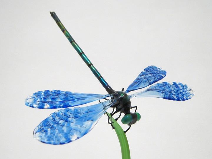 Wesley Fleming - dragonfly