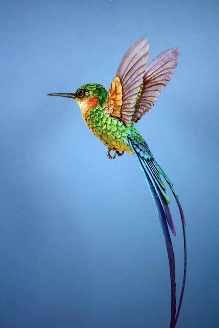 Zack Mclaughlin - paper_hummingbird