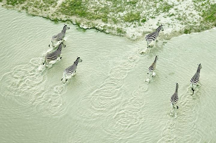 Zack Seckler - Aerial Photos of Botswana