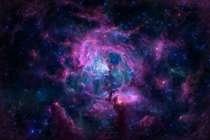tim barton - rose_nebula